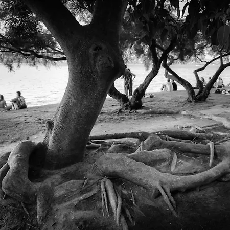 Dora's Appartamento *